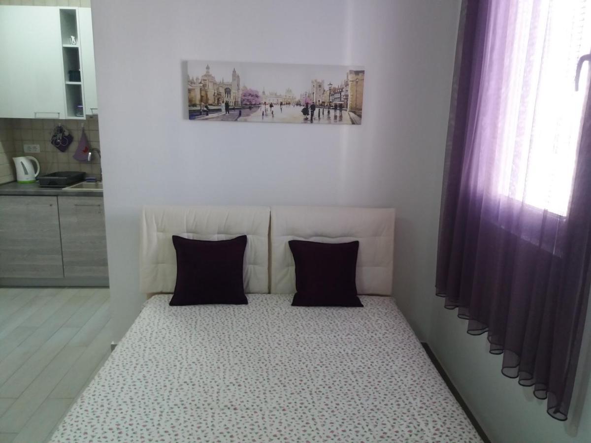 Apartments Aleksic บาร์ ภายนอก รูปภาพ